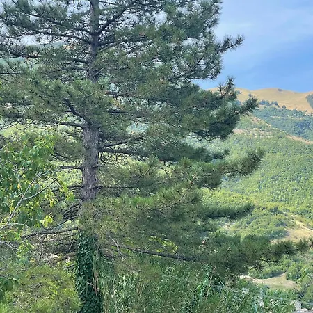 Pie Del Colle Country * 菲亚斯特拉