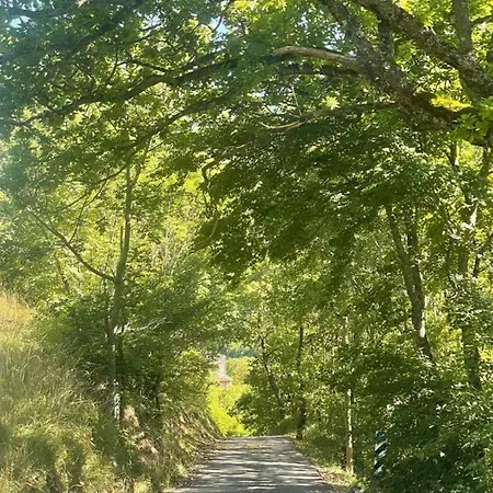 Pie Del Colle Country 公寓 *