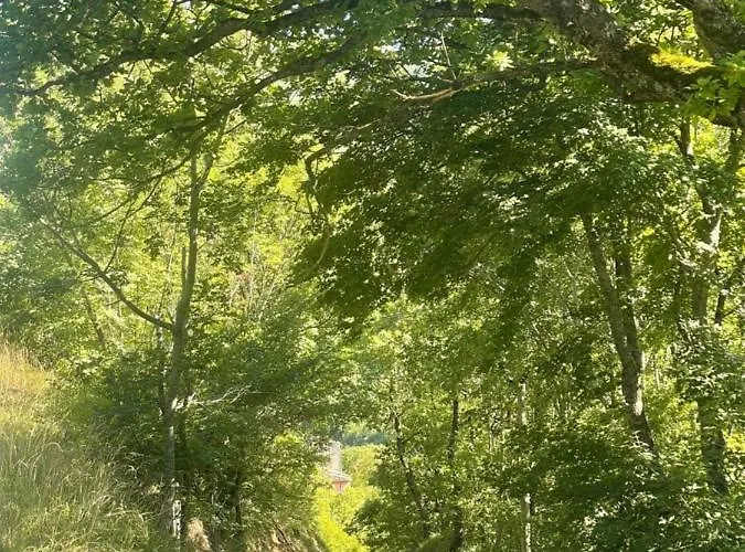 Pie Del Colle Country アパート *